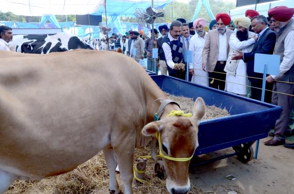 S. Gurmeet Singh Khuddian visting Mela with Dr. Inderjeet Singh, VC and Officials 